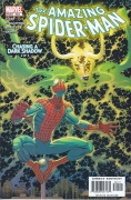 Amazing Spider-Man # 504