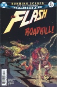 Flash # 27