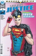 Young Justice # 15