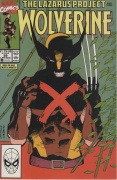 Wolverine # 29