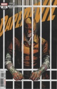 Daredevil # 25