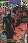 Catwoman # 29