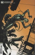 Catwoman # 22