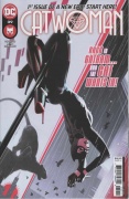 Catwoman # 39
