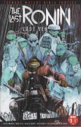 Teenage Mutant Ninja Turtles: The Last Ronin - Lost Years # 01