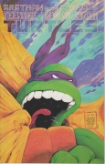 Teenage Mutant Ninja Turtles # 22 (FN+)