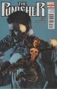 Punisher # 14 (PA)