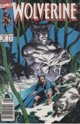 Wolverine # 25